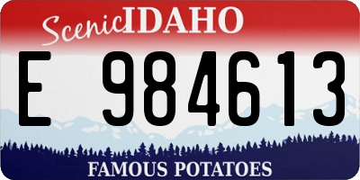 ID license plate E984613
