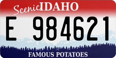 ID license plate E984621