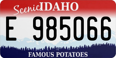 ID license plate E985066