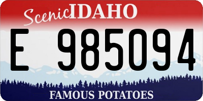 ID license plate E985094