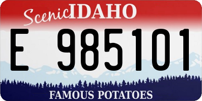 ID license plate E985101