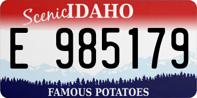 ID license plate E985179