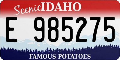 ID license plate E985275