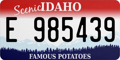 ID license plate E985439