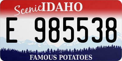 ID license plate E985538