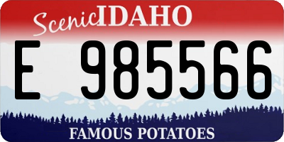 ID license plate E985566