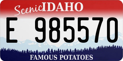 ID license plate E985570