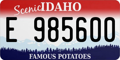 ID license plate E985600