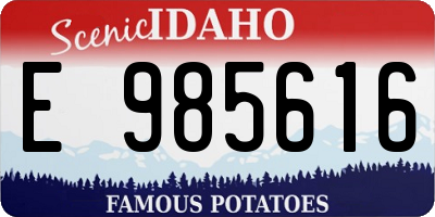ID license plate E985616