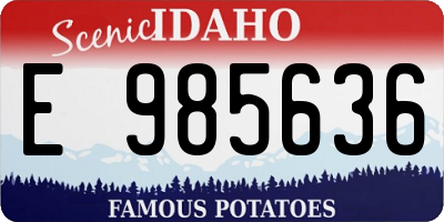 ID license plate E985636