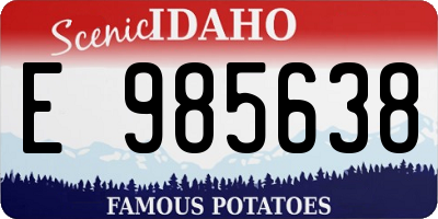 ID license plate E985638