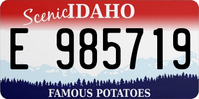 ID license plate E985719
