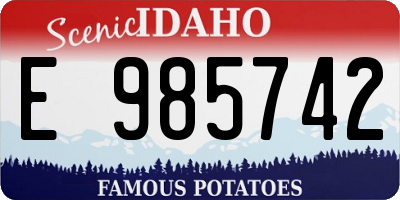 ID license plate E985742