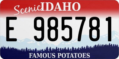 ID license plate E985781