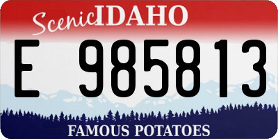 ID license plate E985813