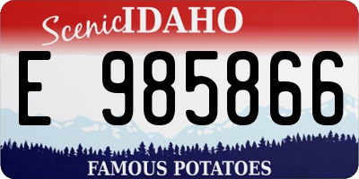 ID license plate E985866