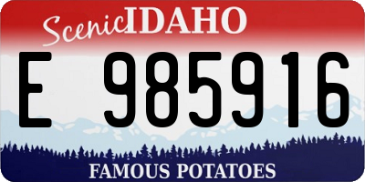 ID license plate E985916