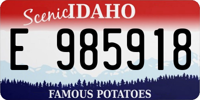 ID license plate E985918