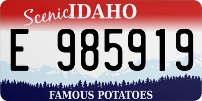 ID license plate E985919