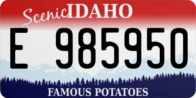 ID license plate E985950