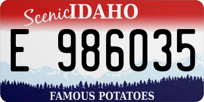 ID license plate E986035
