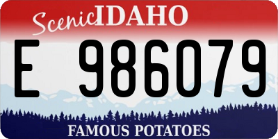 ID license plate E986079