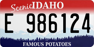 ID license plate E986124