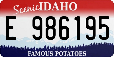 ID license plate E986195
