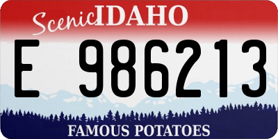 ID license plate E986213