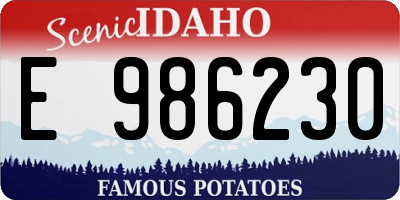 ID license plate E986230