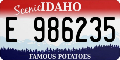 ID license plate E986235