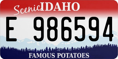 ID license plate E986594