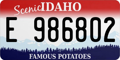 ID license plate E986802