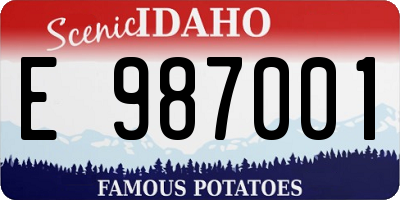 ID license plate E987001