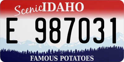 ID license plate E987031