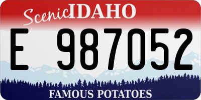 ID license plate E987052