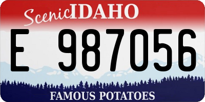 ID license plate E987056