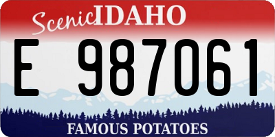 ID license plate E987061