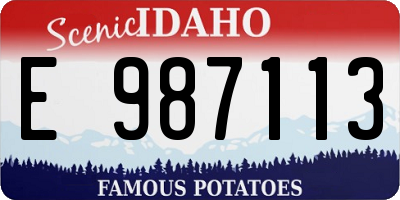 ID license plate E987113