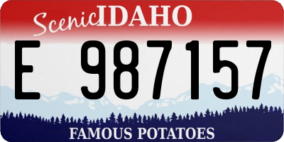 ID license plate E987157