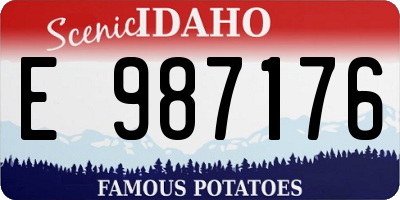 ID license plate E987176