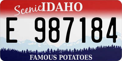 ID license plate E987184