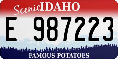 ID license plate E987223