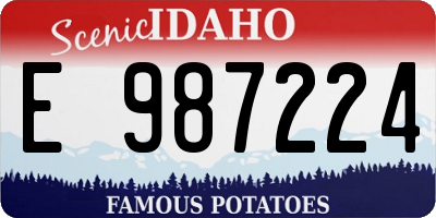 ID license plate E987224