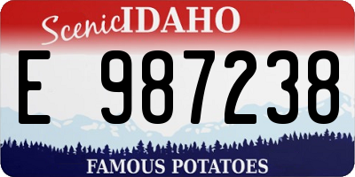 ID license plate E987238