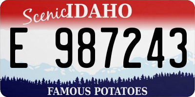 ID license plate E987243