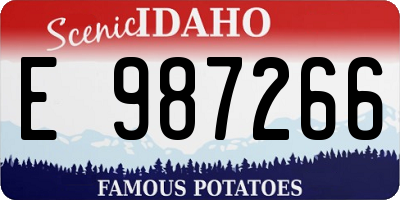 ID license plate E987266