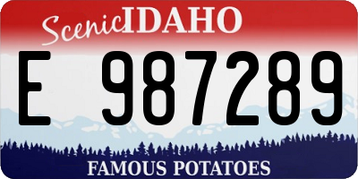 ID license plate E987289