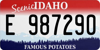 ID license plate E987290