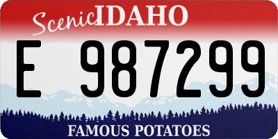 ID license plate E987299